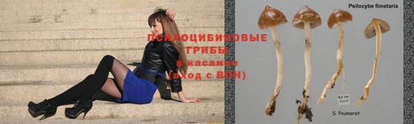 эйфоретик Навашино