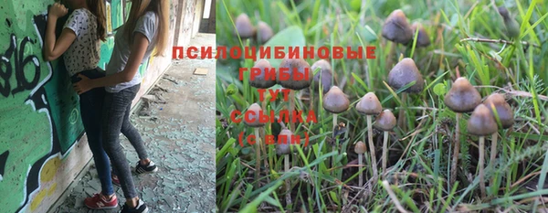 мяу мяу мука Михайлов