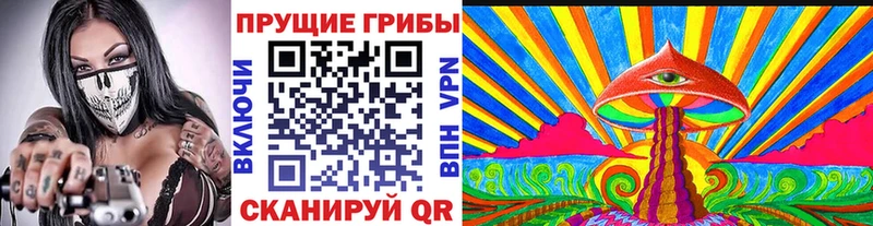Псилоцибиновые грибы Psilocybine cubensis  omg как зайти  Нязепетровск 